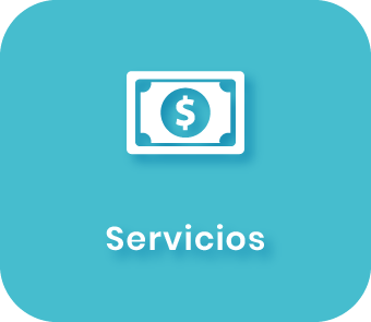 11 SERVICIOS